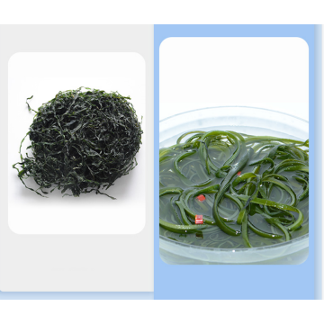 Seaweed Food Beauty Slimming Baked Kelp Slices